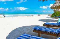 Cabañas Casa Maya Holbox Frente Al Mar