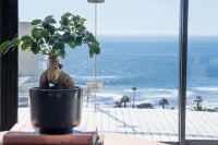 President Hotel Cape Town - Romantic