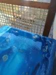 馬蒂的酒吧和公寓 卡羅住宿飯店
