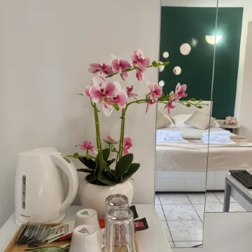 Apartments Ana & Ita