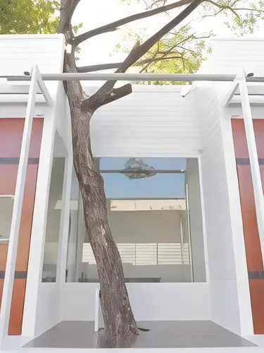 รูปภาพของเดอะ บัฟฟาโล่ อัมพวา