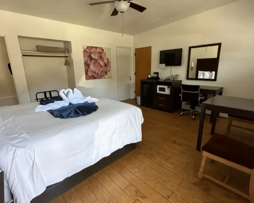 Cambria Palms Motel Hotels in Cambria
