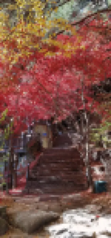 Hoengseong Log Cabin Pension (Duplex Pension)