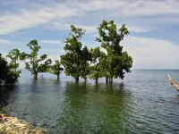 Morowali Beach Hotel Hotels in Morowali Regency