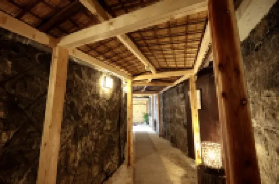 Hishino Onsen Yakushikan