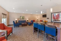 Comfort Inn & Suites Near Route 66 - Pet friendly