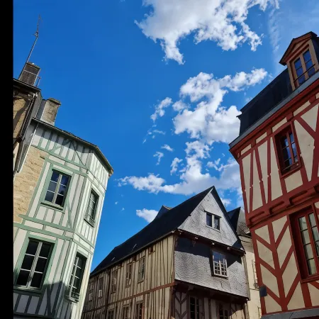Ibis Vannes