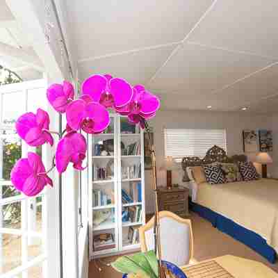 Charming Seashell Cottage in Heart of la Jolla Village, Walking Distance to All Rooms