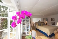Charming Seashell Cottage in Heart of la Jolla Village, Walking Distance to All - Condos