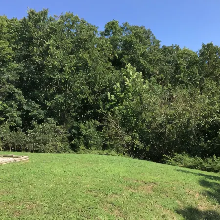 Fort Wood Retreat in Saint Robert MO