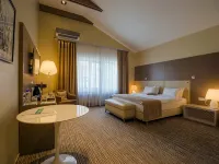Sova Park-Hotel Hotels in Gorod Ryazan'
