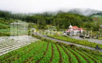 Hotel Green View near Sarangan Lake RedPartner - Wifi