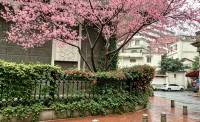 Weimei Homestay (Zhongshan Road) - เปิดใหม่