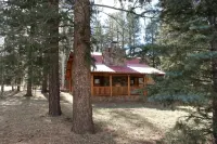 Charming 3 bedroom cabin in the White Mountains, Tal Wi Wi/Alpine with WIFI - シャレー