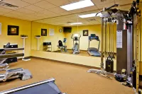Holiday Inn Express & Suites MEMPHIS/GERMANTOWN by IHG - Gym
