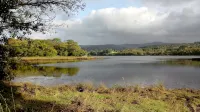 Recent house close to Kenmare