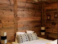 Les Mélèzes - Very beautiful Chalet 200m from the slopes of La Plagne - 12-15 pers. 艾姆住宿飯店