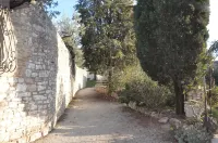 From Marzietta Casa Centro Storico Assisi