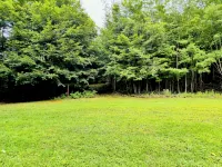 Cozy 3Br Vermont Artistic Retreat w/ Trails - Gym