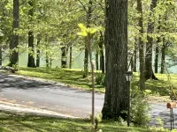 Norris Lake-Ride Royal Blue-Tackett Creek - 3-Star