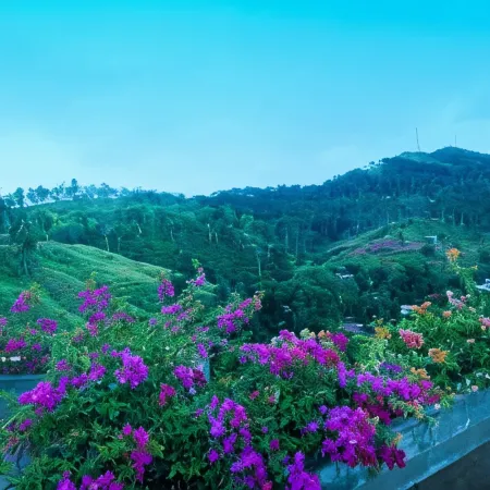 Skyloft Kandy by Aaradhya