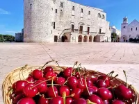 Le Scale di Pietra Hotels in Conversano