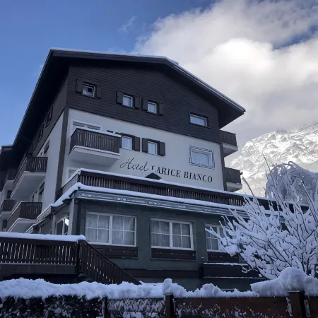 Hotel Larice Bianco Отели в г. Бормио