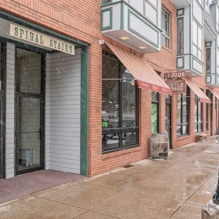 Designer Unit -Town of Telluride, steps to Gondola