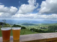 Mountain Getaway! Just 3 Minutes to Beech Mountain Resort with Winter Views!