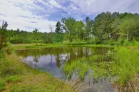 Mennonite Built Cabin on 81 acres surrounded by 30,000 acres of state park - Homestays