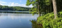 Lakefront Rustic 1930s dog friendly Cabin w/lg screened porch near Lake George - Wi-Fi