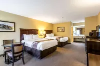Quality Inn Union City US 51 - Phòng tập thể hình