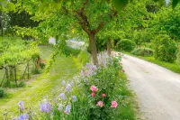 Farmhouse holidays in Umbria, the green heart of Italy, amongst art and nature. - 游泳池
