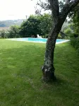Gatao: Cottage in the begining of Douro very cosy and peaceful - piscina
