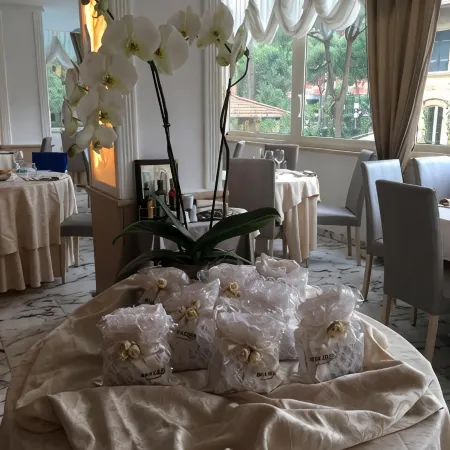 Hotel Alexander