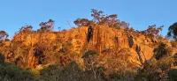 Self Contained Cottage in Bowral with Fireplace - Country Houses