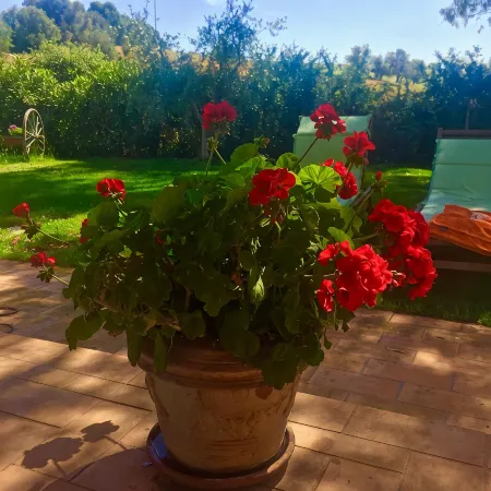 B&B Monte di Bù