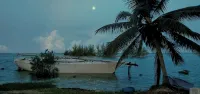 "Serenity" at the Infiniti Pool - Oceanview 2/2 at Resorts World Bimini Bay - 3-Star