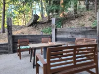 Romantic, Pet-Friendly Cabin. 5-min walk to Lake. 2 BBQ + 2 Decks + Fire Pit/EV