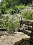 Nestled Garden Oasis with Mountain Views 5 Minutes to Downtown! - Condos