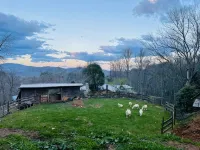 Cozy Cabin: Peaceful Haven in the Heart of Nature - Chalets