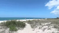 Walk to Beach Access! Coastal Studio – Starfish Stays 2C Dog Friendly. - Beach