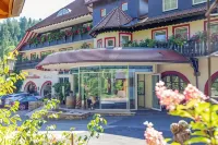 Hotel Langenwaldsee - Parking