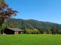 Scenic Mountain Getaway with a Firepit and Amazing Views of Mountains and Horses - Wifi