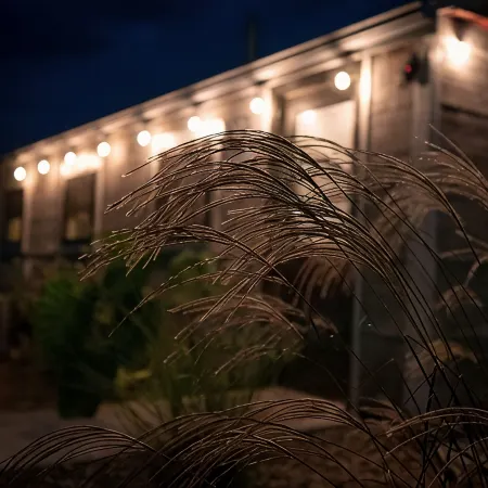 The Shed for Couples Only!-Hermann