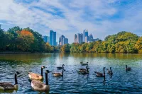 Luxury Living w/ Skyline View+Wine Bar+Huge Master Suite near PCM & Beltline - 자쿠지