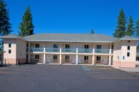 Shasta Pines Motel & Suites - Wifi
