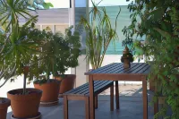 Alexander Motor Inn - Moteles