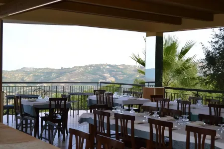 Il Falco del Cilento