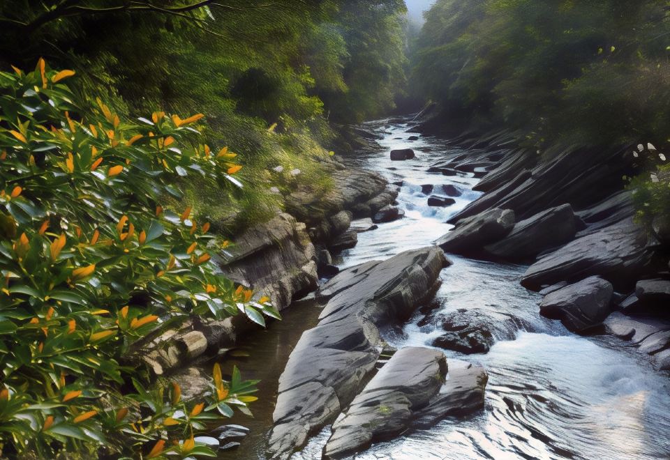 5. 우라이 스프링 ..